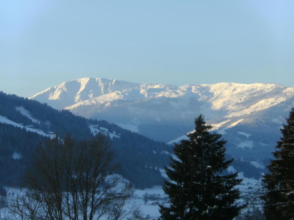 Villa Bauernhof Hundbichl Brixen im Thale Exterior foto